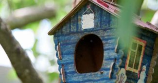 Nichoir oiseaux à fabriquer soi-même facile : Quelques conseils utiles