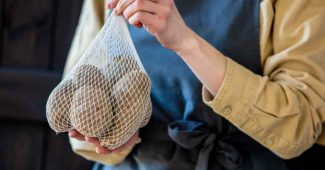Planter des pommes de terre : techniques et conseils pour réussir