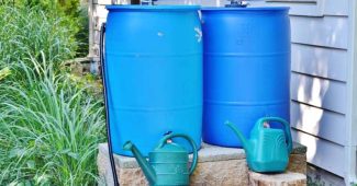 Comment garder l'eau propre dans un récupérateur d'eau ?