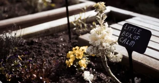 Carrés potagers surélevés et plantes aromatiques disposés harmonieusement sur une terrasse ensoleillée