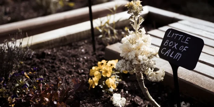 Carrés potagers surélevés et plantes aromatiques disposés harmonieusement sur une terrasse ensoleillée