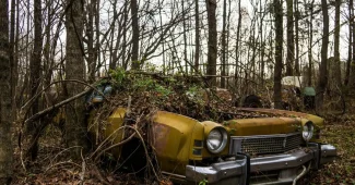 Terrain vague envahi de ronces et d'herbes hautes près d'une habitation