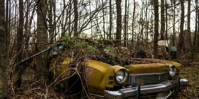 Terrain vague envahi de ronces et d'herbes hautes près d'une habitation