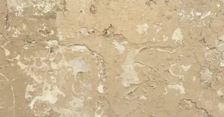 Mur peint en ocre avec textures naturelles et lumière douce mettant en valeur la richesse chromatique de la teinte.