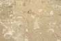 Mur peint en ocre avec textures naturelles et lumière douce mettant en valeur la richesse chromatique de la teinte.