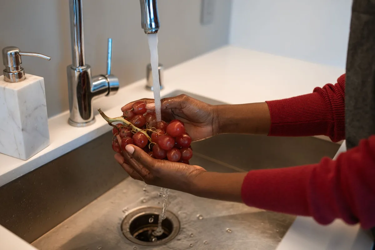 Noyaux de prunes rincés à l'eau claire dans les mains