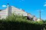 Une haie dense mal entretenue avec du bois mort à la base près d'une maison