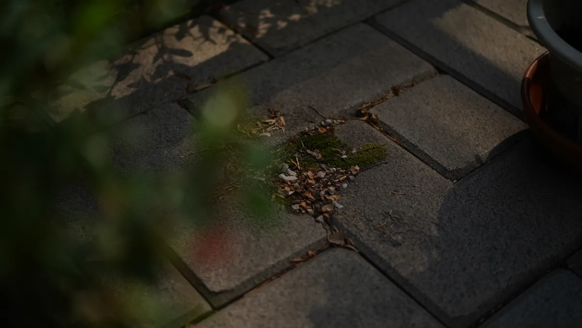 Pourquoi aucun revêtement n’est vraiment « sans entretien » — Même les dalles les plus denses retiennent poussières, feuilles et dépôts organiques. L’humidité, l’ombrage et les objets fixes comme les pots créent des micro-zones où mousse et salissures s’installent plus vite.