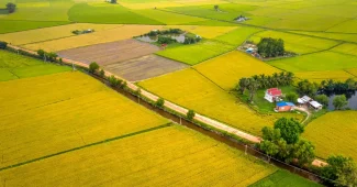 Vue aérienne d'un terrain avec des piquets d'arpentage et un ruban de mesure marquant les limites