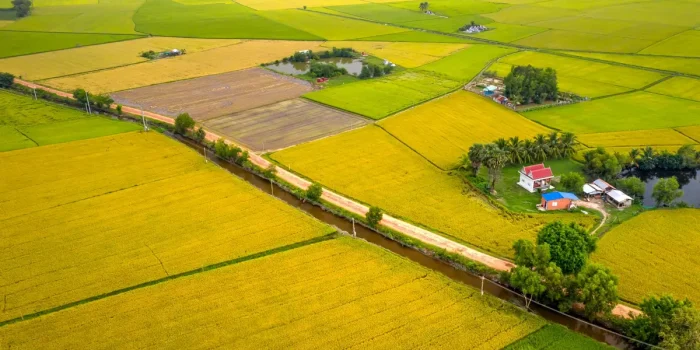 Vue aérienne d'un terrain avec des piquets d'arpentage et un ruban de mesure marquant les limites