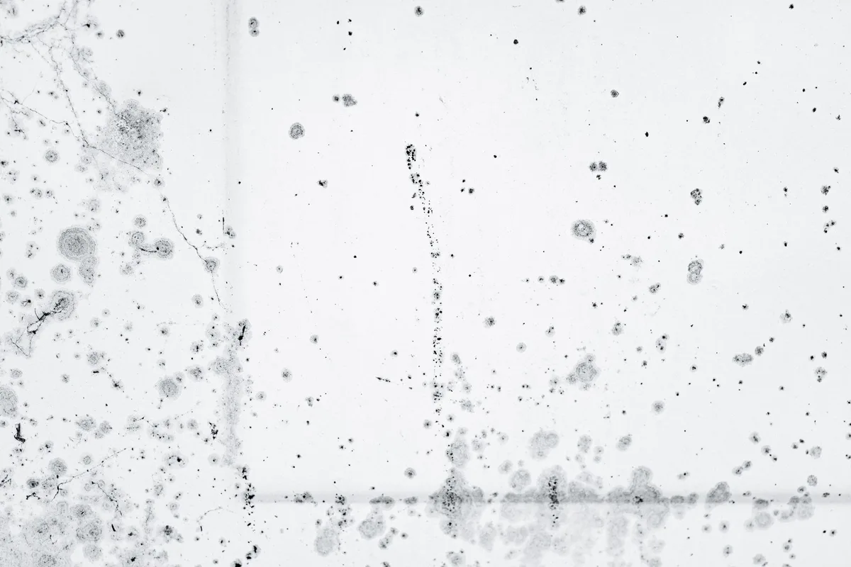 Clôture blanche avec traces de saleté et d'usure.