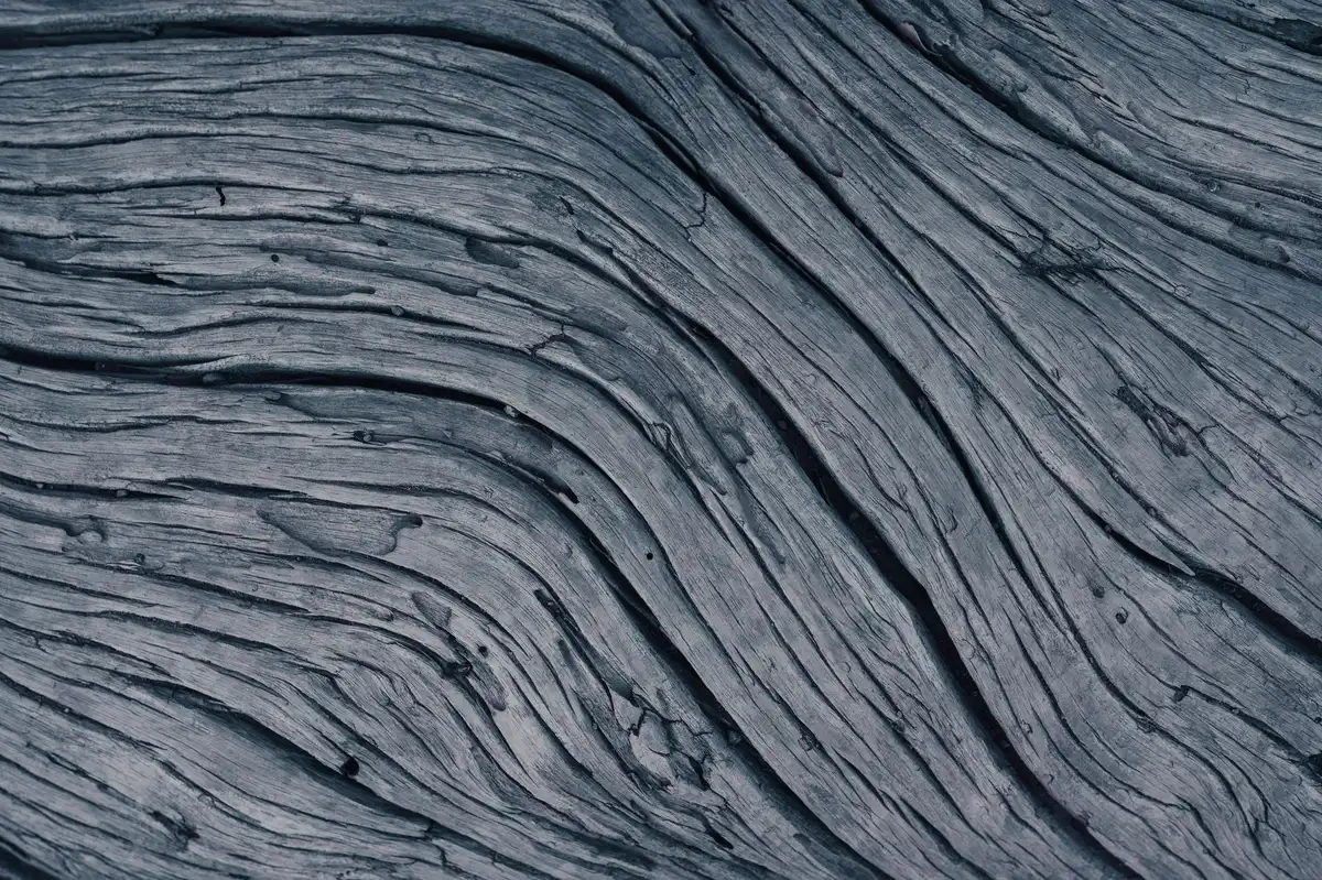 Détail de matériaux : bois clair et bois foncé créant contraste et profondeur dans un intérieur épuré.