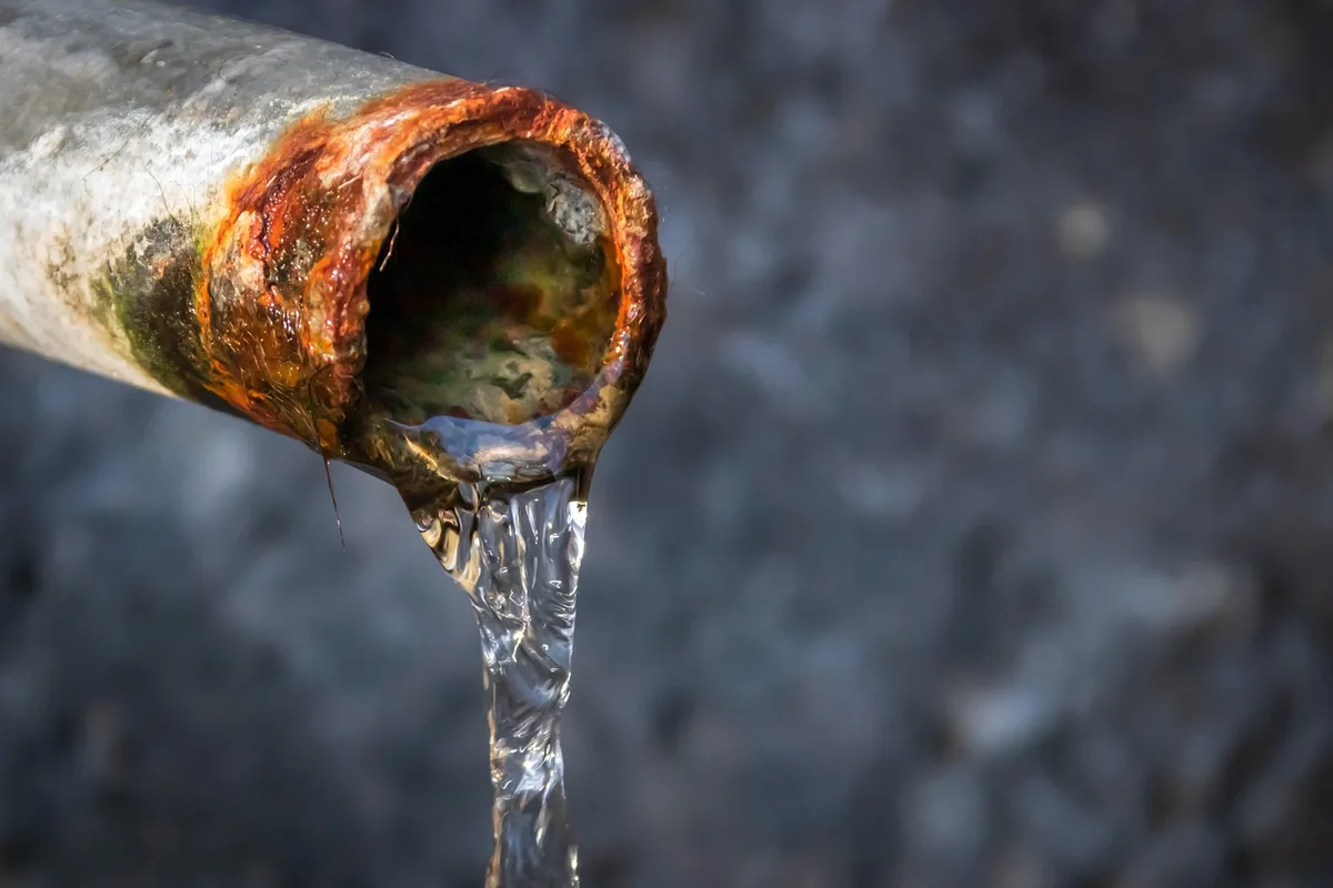 Vue microscopique du biofilm et des dépôts dans une canalisation d'eau