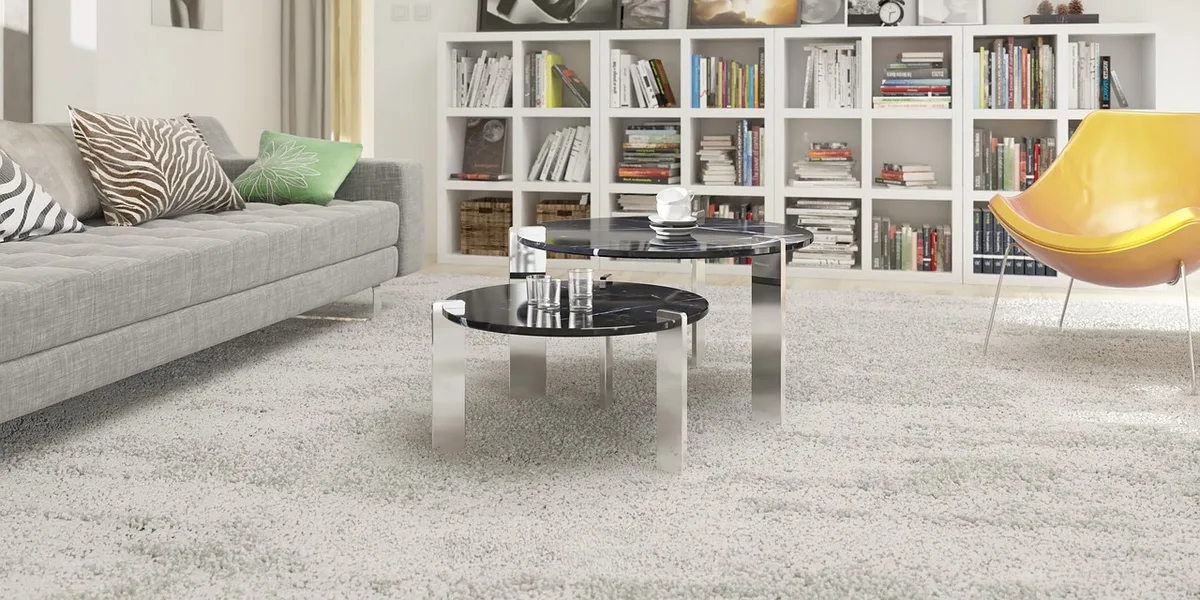 Tapis délimitant un coin salon avec pieds avant du canapé posés dessus