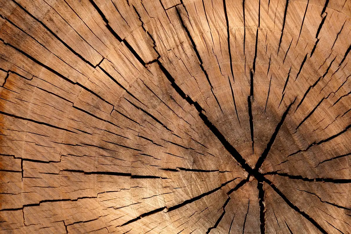 Échantillons de textiles en lin et surfaces en bois clair pour une déco apaisante