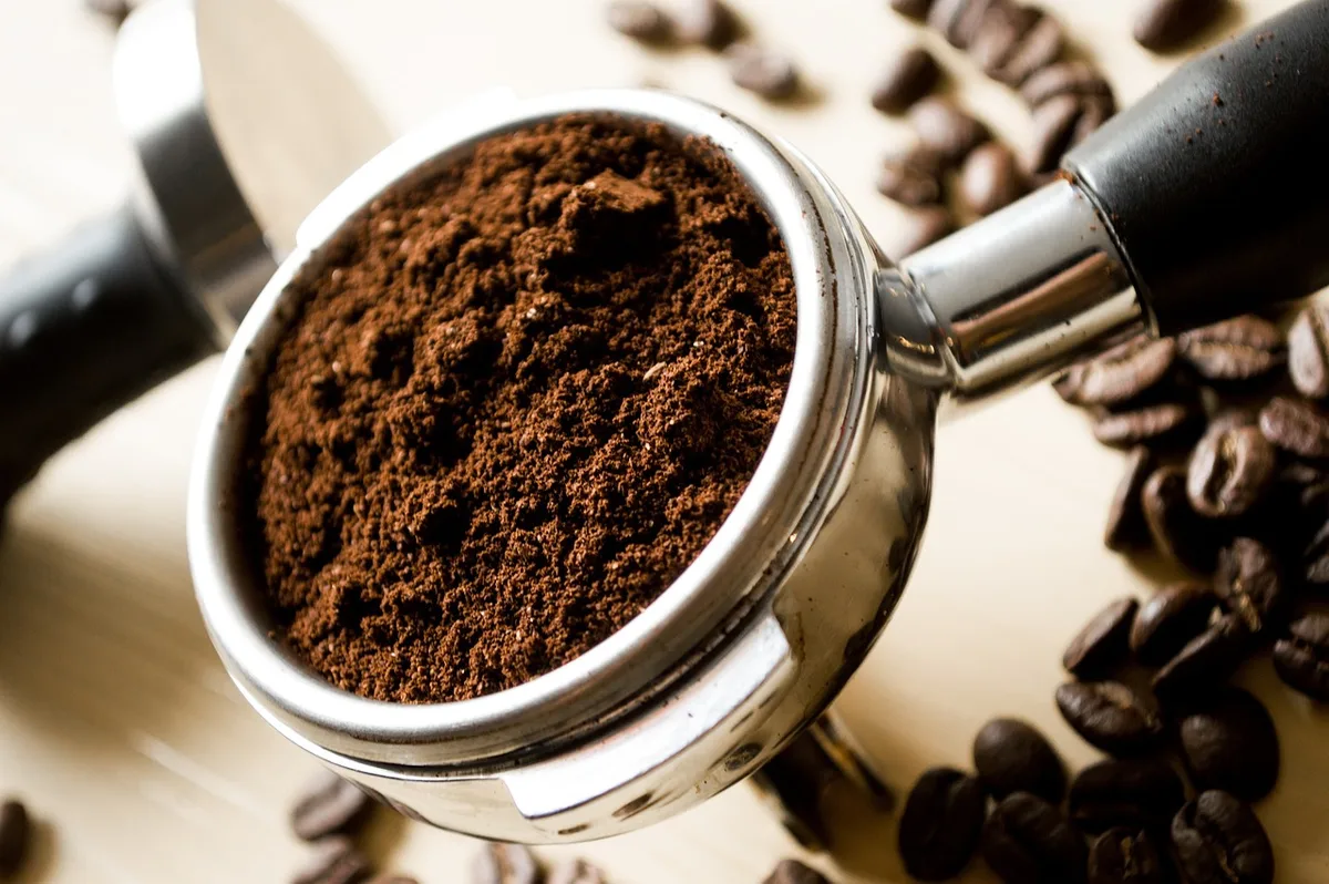 Marc de café et paillis grossier disposés autour de jeunes plants