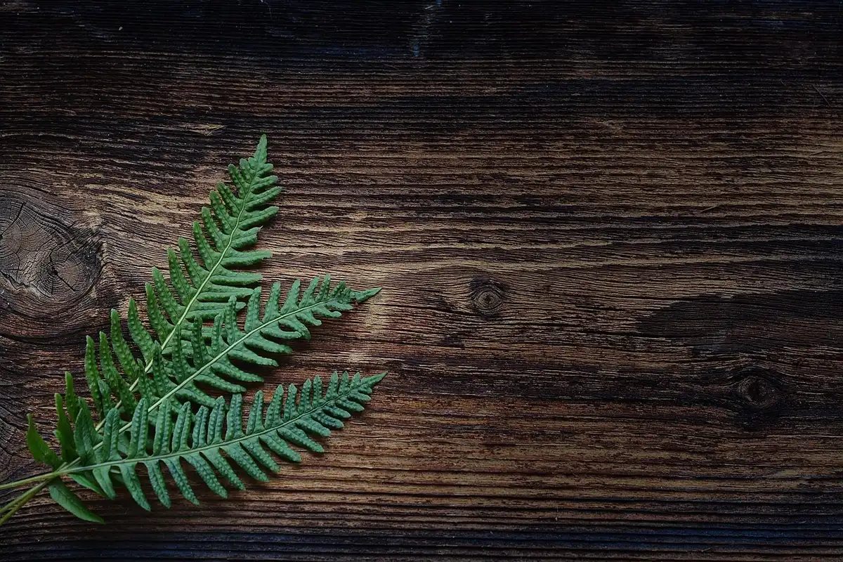 Détail de bois de récupération montrant les veines et irrégularités naturelles