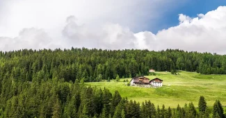 Maison contemporaine en bois sur une colline boisée dominant un lac