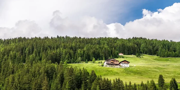 Maison contemporaine en bois sur une colline boisée dominant un lac