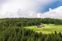 Maison contemporaine en bois sur une colline boisée dominant un lac