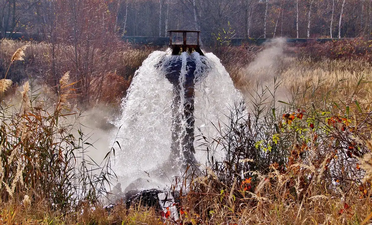 Eau s'écoulant au pied d'un mur végétal montrant stagnation