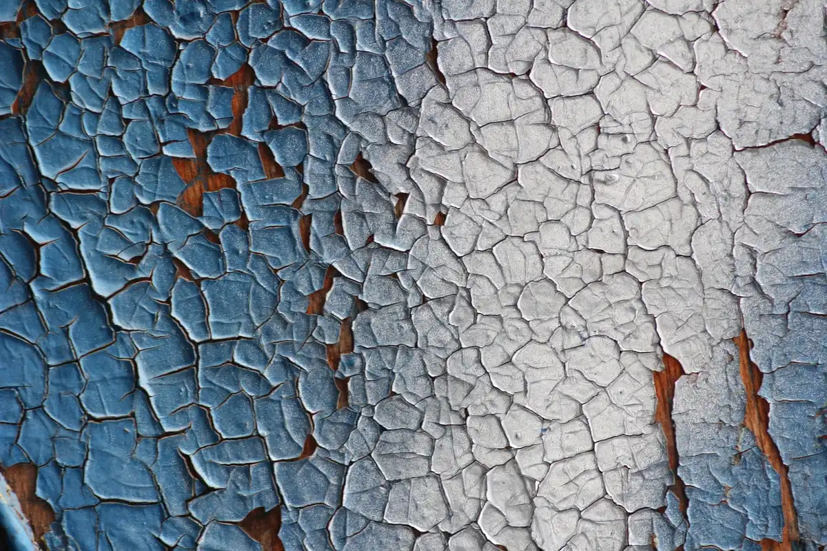 Échantillons de peinture terracotta posés sur un mur pour test