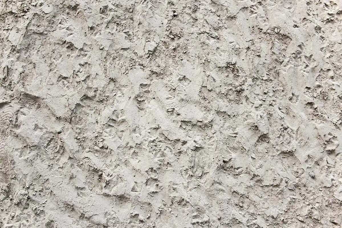 Échantillons de matériaux biosourcés : panneaux de bois et blocs isolants naturels