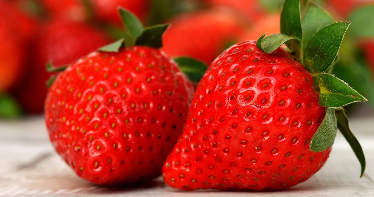 Gros plan sur une pâtisserie mettant en valeur le fruit