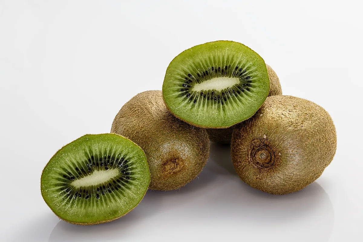 Jeune plant d'actinidia non mature dans un pot au jardin