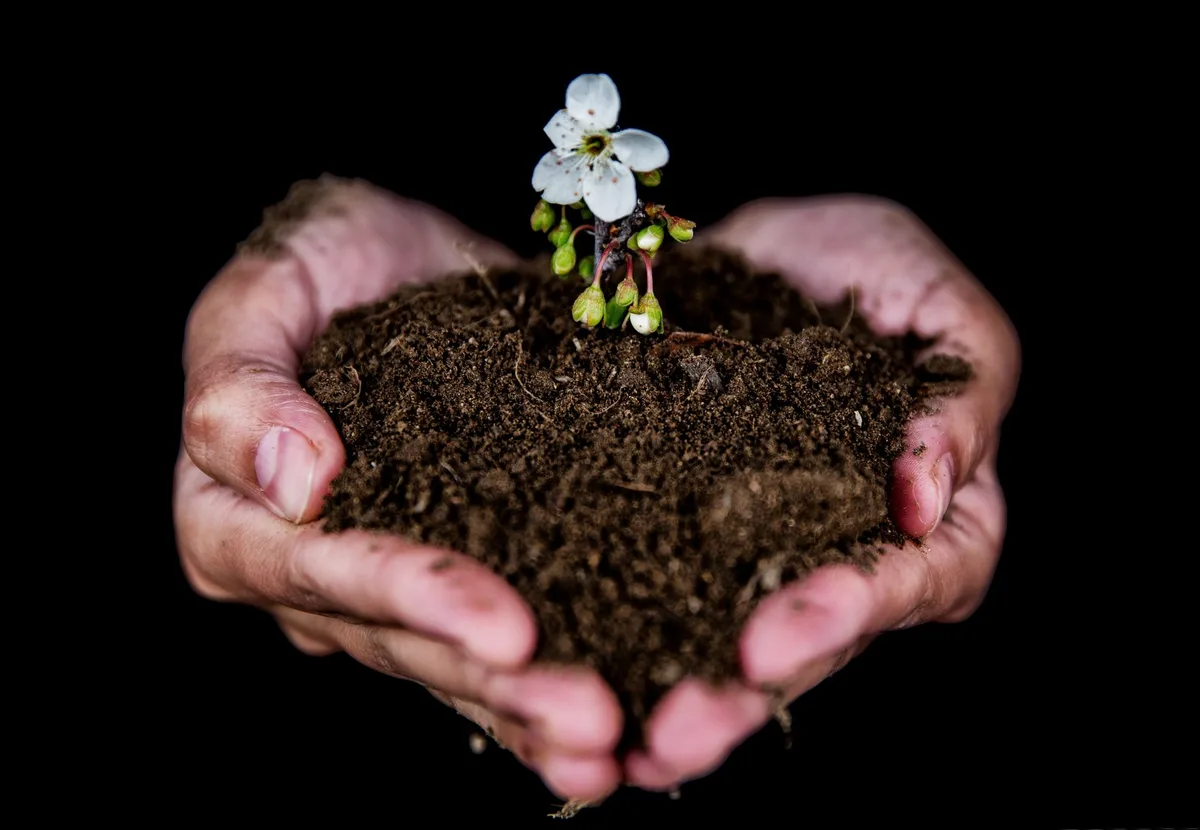 Doigt vérifiant l'humidité et la texture d'une terre de jardin avec des galeries de vers visibles