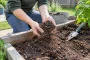 Les 7 gestes à éviter au potager selon les maraîchers