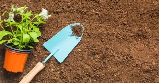 Personnes anonymes plantant des bulbes dans un parterre en plein jour