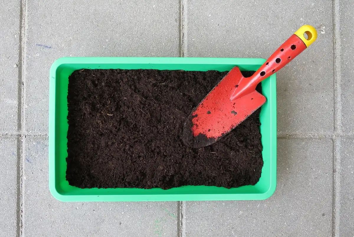Sol humide et frais avec mains de jardinier évaluant la texture