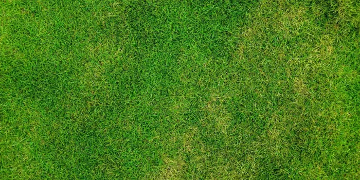 Mains étalant du marc de café mélangé à des feuilles et outils de jardin en arrière-plan