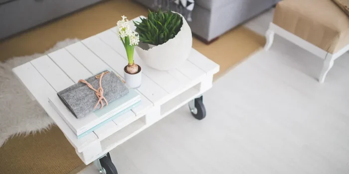 Salon scandinave lumineux avec tapis à poils longs sous une table basse