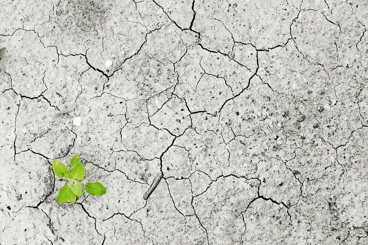 Sol nu après récolte montrant terre meuble et signes d'érosion