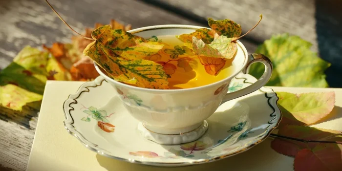 Mains saupoudrant de la cannelle sur une pelouse ensoleillée avec des feuilles mortes floues