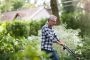 Tondeuse thermique : quand en aurez-vous besoin à la maison ? ChoiceDek